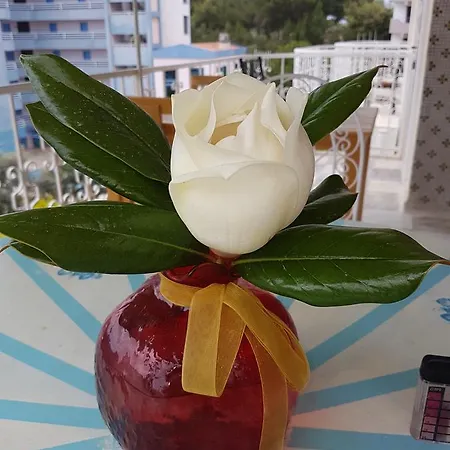 Ersah فندق كوشاداسيه